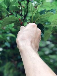 Close-up of hand against tree