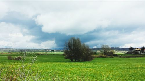 Scenic view of grassy field against cloudy sky