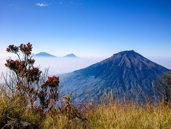 Scenic view of mountains against clear blue sky
