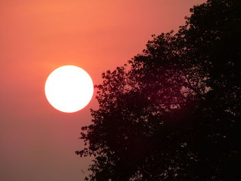 Low angle view of silhouette tree against sky during sunset