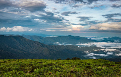 Mountain with green grass and beautiful sky