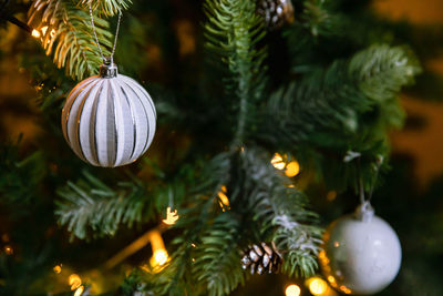 Close-up of illuminated christmas tree