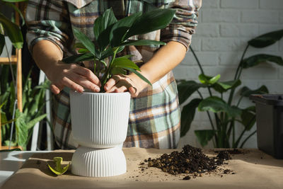 Midsection of woman holding potted plant on table