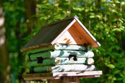 Close-up of birdhouse in a forest