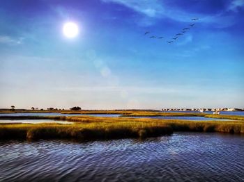 Birds flying over river against sky
