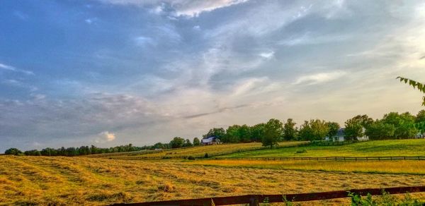 Scenic view of field against sky