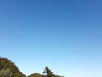 Low angle view of trees against clear blue sky