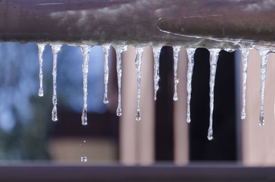 Close-up of icicles