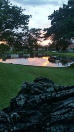 Trees on landscape against cloudy sky