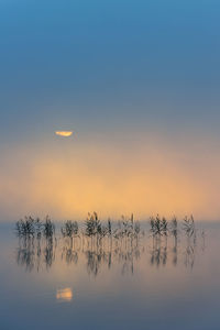 Dawn over lake finnsjön, mölnlycke, sweden, europe