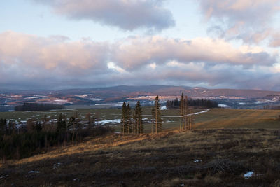 Scenic view of field against sky