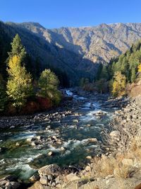 Scenic view of river amidst trees against sky