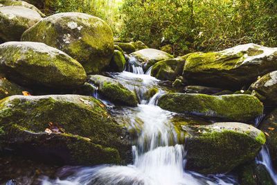 Stream flowing through rocks in forest