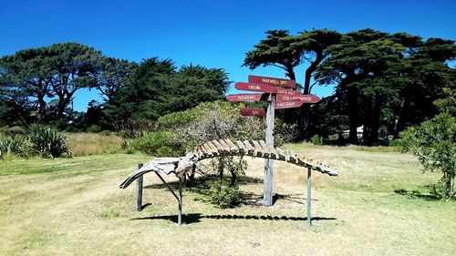 Chairs and tree in front of building