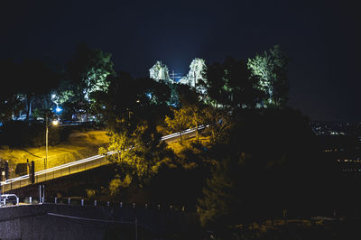 Trees by illuminated city against sky at night