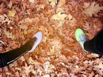 Low section of person standing on autumn leaves