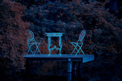 View of bench in forest at night