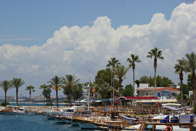 View of boats in harbor