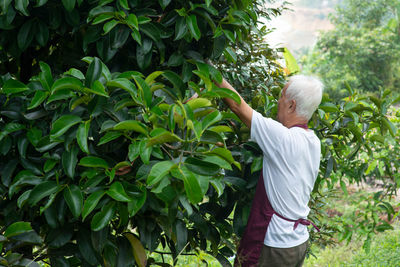 Rear view of woman standing by plants