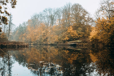 Scenic view of lake in forest during autumn