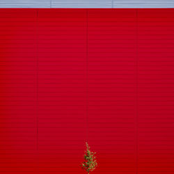 Full frame shot of red wall