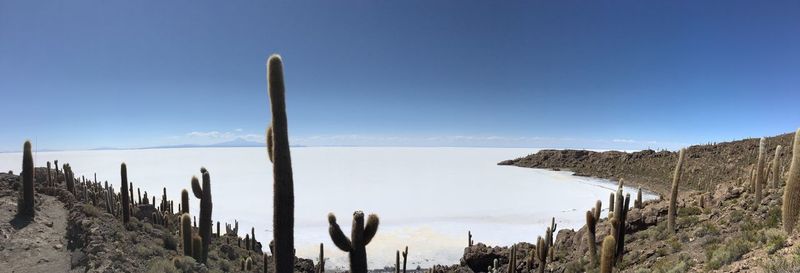 Panoramic view of village on desert against clear blue sky
