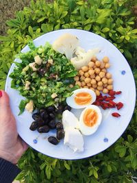 Cropped hand of woman holding breakfast in plate over plants