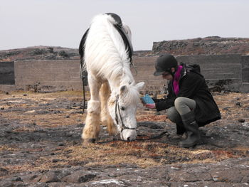 Full length of woman feeding pony on land against sky