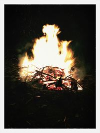 Campfire at night