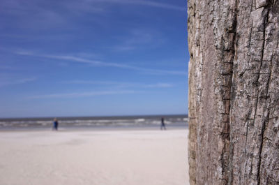 Close-up of tree trunk by sea against blue sky