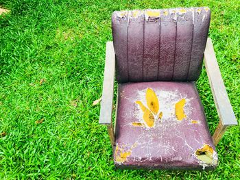 High angle view of snake on grass