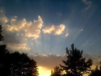 Low angle view of silhouette trees against sky during sunset