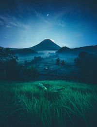 Scenic view of field against sky at night