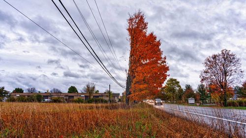 Scenic view of field against cloudy sky