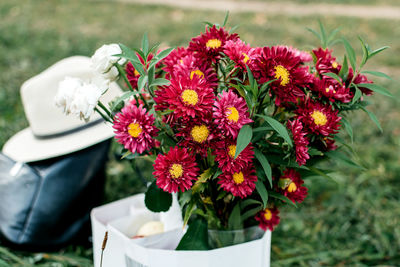 Close-up of flowers