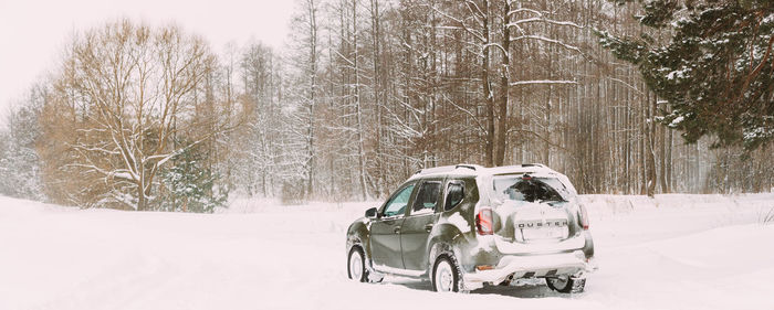People on snow covered field