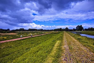 Dutch polder landscape with cycle path