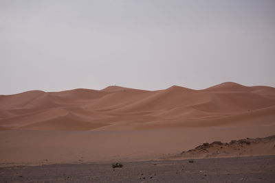 Scenic view of desert