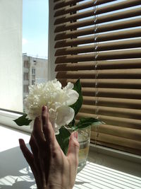 Close-up of hand holding flower bouquet