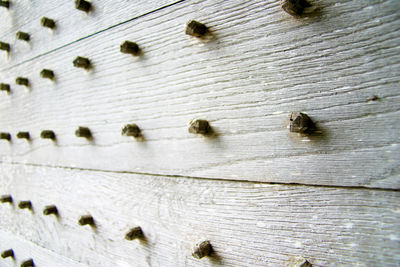 Close-up of wood