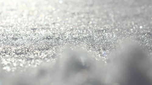 Close-up of water drops on leaf