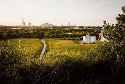 Plants growing on field by building against sky