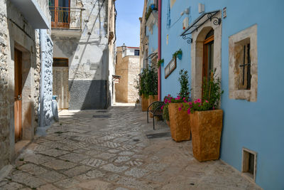 A small street in casamassima, a village with blue-colored houses in the puglia region of italy.