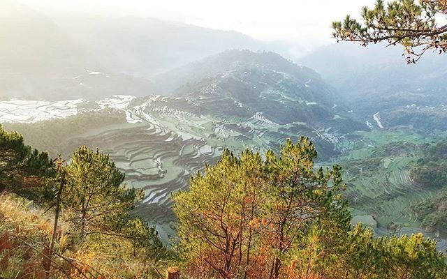 mountain, tranquil scene, tranquility, scenics, beauty in nature, mountain range, water, nature, fog, landscape, tree, idyllic, non-urban scene, lake, sky, high angle view, foggy, green color, day, remote