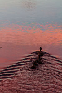 Man on horse by lake against sky during sunset