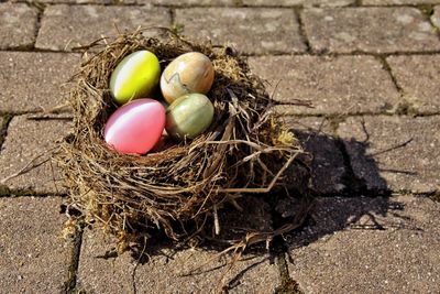 High angle view of colorful easter eggs in nest