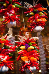 Close-up of red flowers