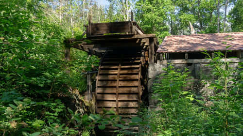 Low angle view of old house amidst trees in forest