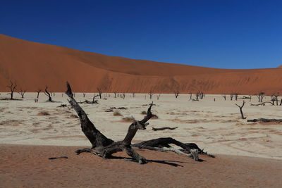 Scenic view of desert against clear sky