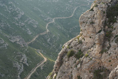 High angle view of trees on mountain